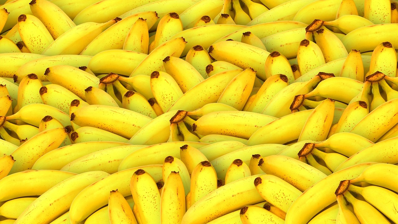platanos pixabay.jpg